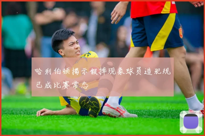 哈利伯顿揭示假摔现象球员造犯规已成比赛常态
