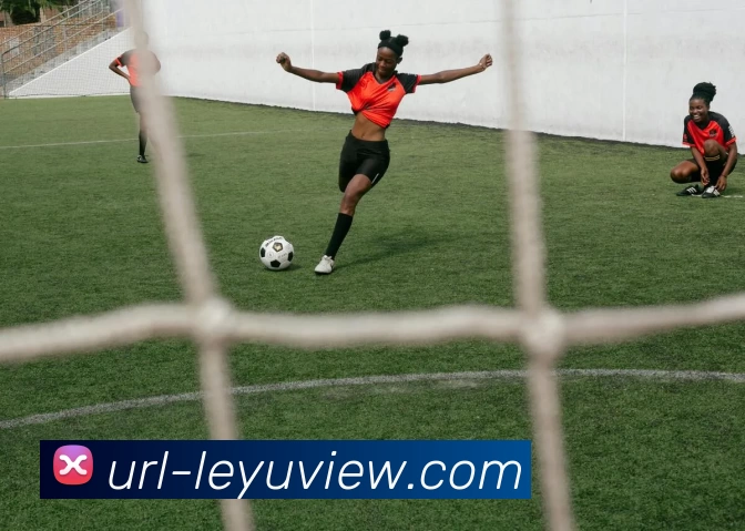 乐鱼体育APP 封面图